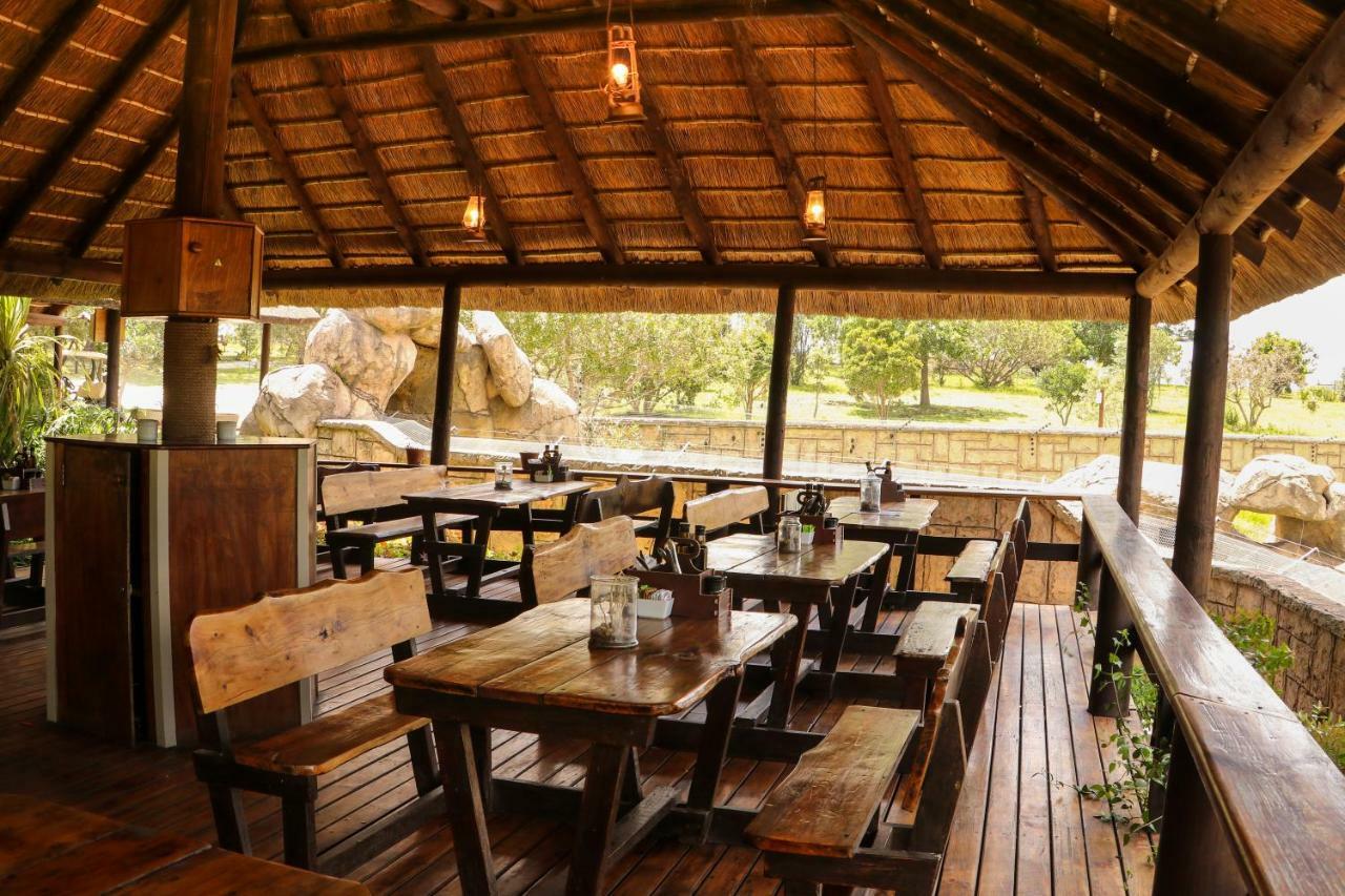 Knysna Elephant Park Lodge Плетенбърг Бей Екстериор снимка