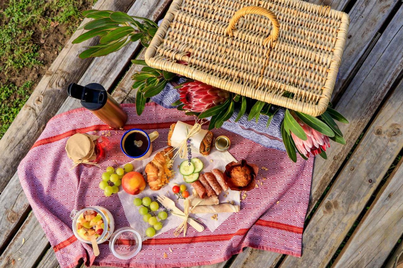 Knysna Elephant Park Lodge Плетенбърг Бей Екстериор снимка